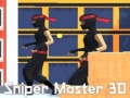 Mäng Sniper Meister 3D Internetis