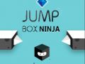Mäng Hüppav Karp Ninja Internetis
