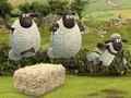 Mäng Shaun, lammas: Välismaine atleetika Internetis