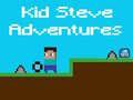 Mäng Kid Steve Seiklused Internetis