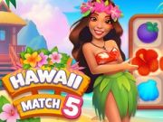 Mäng Hawaii Ühtesumma 5 Internetis