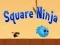 Mäng Ruudukujuline Ninja Internetis