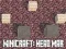 Mäng Minicraft: Peade Sõda Internetis