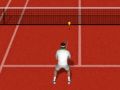 Mäng Tõeline Tennis Internetis