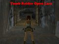 Mäng Tomb Raider: Avatud Lara Internetis