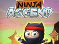 Mäng Ninja Tõus Internetis