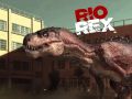Mäng Rio Rex Internetis