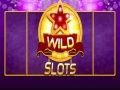 Mäng Looduslik Slot Internetis