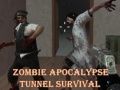 Mäng Zombi apokalüüpsise tunnelis ellujäämine Internetis