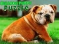 Mäng Bulldogi Kutsika Pusle Internetis