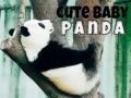 Mäng Armas beebi panda Internetis
