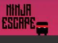 Mäng Ninja põgenemine Internetis