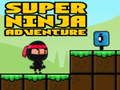 Mäng Super Seiklus Ninja Internetis