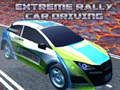 Mäng Ekstreemne ralliauto juhtimine Internetis