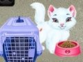 Mäng Baby Taylor: Lemmikute Hooldus Internetis