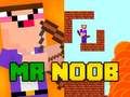 Mäng Härra Noob Internetis