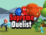 Mäng Üksikasjalik Duelist Internetis