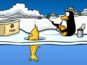 MÀng Klubi Pingviin: JÀÀkalastamine Internetis MÀng Klubi Pingviin: JÀÀkalastamine Internetis