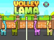 Mäng Volley Lama Internetis