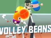 Mäng Võrkpall Beans Internetis