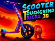 Mäng Tõukeratas Touchgrind trikid 3D Internetis