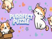 Mäng Purrfect mõistatus Internetis