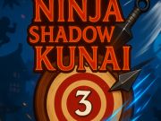 Mäng Ninja varibai Internetis