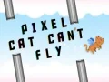 Mäng Pikselikass ei saa lennata Internetis