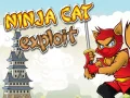 Mäng Ninja Kass Ekspluate Internetis