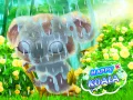Mäng Õnnelik Koala Internetis Mäng Õnnelik Koala Internetis