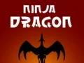 Mäng Ninja Draakon Internetis