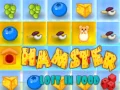 MĂ€ng Hamster Kaotatud Toidus Internetis MĂ€ng Hamster Kaotatud Toidus Internetis