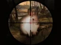 Mäng Klassikaline Jänese Sniper Jahindus 2019 Internetis