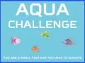 Mäng Aqua Väljakutse Internetis Mäng Aqua Väljakutse Internetis
