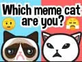 MĂ€ng Milline meme kass sa oled? Internetis MĂ€ng Milline meme kass sa oled? Internetis