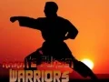 Mäng Karate Päikeseloojangu Sõdalased Internetis Mäng Karate Päikeseloojangu Sõdalased Internetis