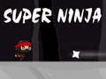 Mäng Super ninja Internetis