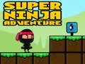 Mäng Super Seiklus Ninja Internetis