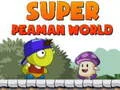 MĂ€ng Super Peaman Maailm Internetis MĂ€ng Super Peaman Maailm Internetis