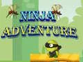 Mäng Ninja Seiklus Internetis