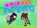 MĂ€ng Lendav Ninja Poiss Internetis MĂ€ng Lendav Ninja Poiss Internetis