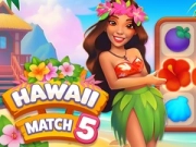 Mäng Hawaii Ühtesumma 5 Internetis