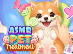 Mäng ASMR PET-ravi Internetis