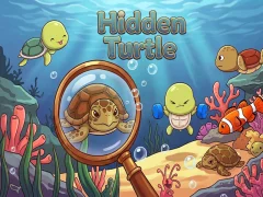 Mäng Hidden Turtle Internetis