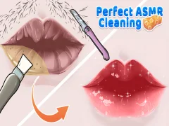 Mäng Täiuslik ASMR -i puhastamine Internetis