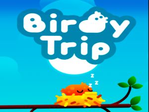 Mäng Birdy reis Internetis