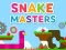 Mäng Snake Masters Internetis