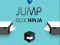 Mäng Hüppav Karp Ninja Internetis