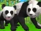 Mäng Panda Simulaator 3D Internetis
