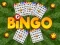 Mäng Bingo Internetis